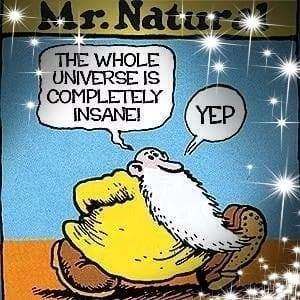 Meet your Posher, Tommy